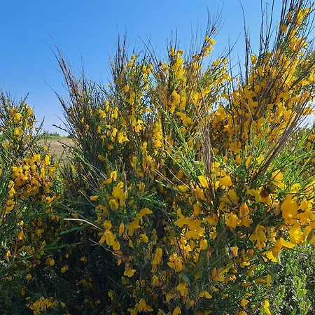 Hébergement de vacances Luxury Retreat Near Sea - By Traum Fjand Gårde