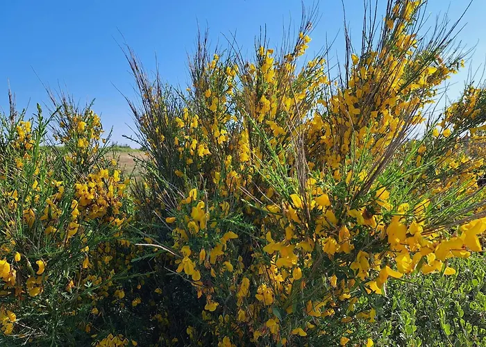 Σπίτι διακοπών Luxury Retreat Near Sea - By Traum Fjand Gårde