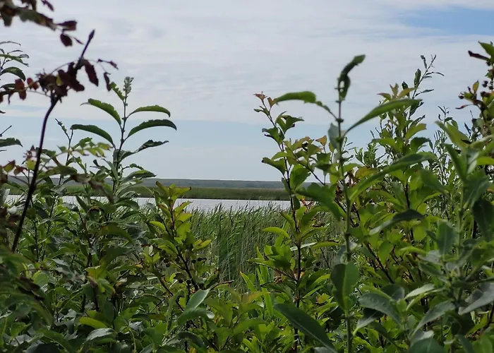 Σπίτι διακοπών Luxury Retreat Near Sea - By Traum